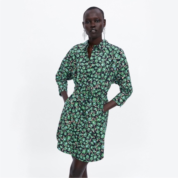 Zara Floral Button Up Collar Shirt Dress - Picture 1 of 9